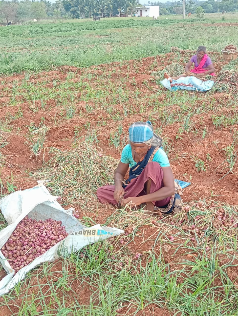 WhatsApp Image 2025-10-16 at 5.20.38 PM